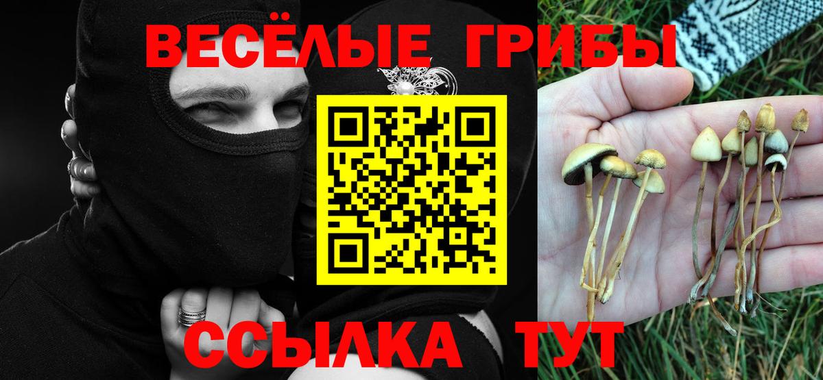 Галлюциногенные грибы Magic Shrooms Псков