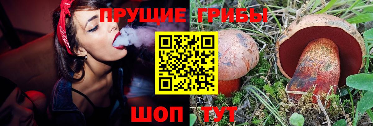 Псков  Галлюциногенные грибы мицелий  Вход с VPN 